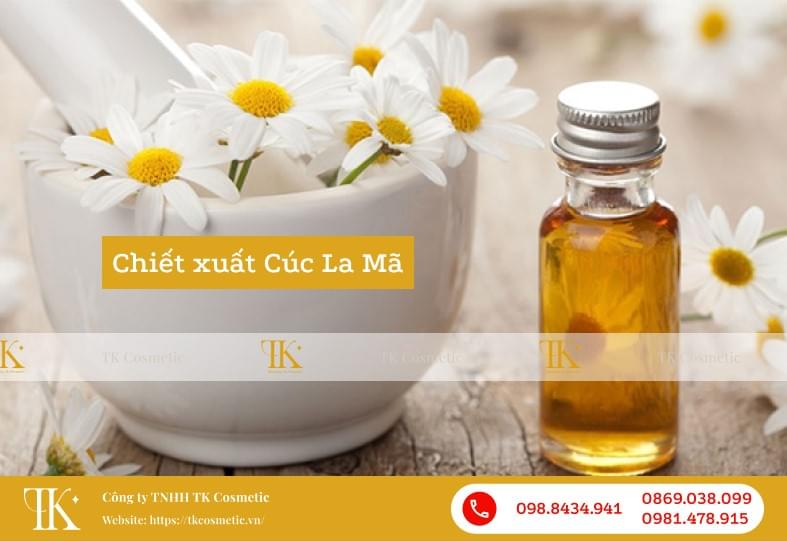 chiết xuất cúc la mã