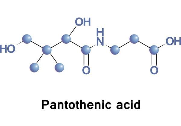 B5 còn được gọi là Pantothenic acid giúp duy trì độ ẩm cho da
