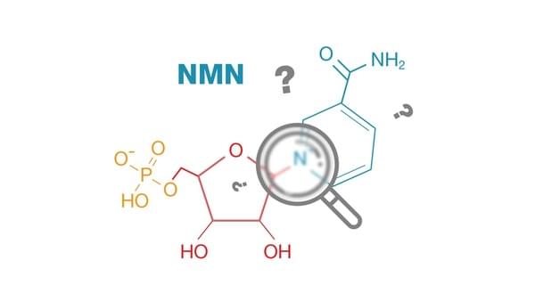 NMN là gì? NMN là viết tắt của Nicotinamide Mononucleotide