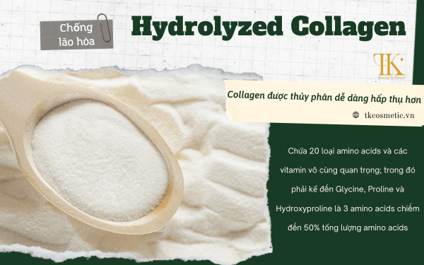 Tìm hiểu về các cơ chế hoạt động Hydrolyzed Collagen