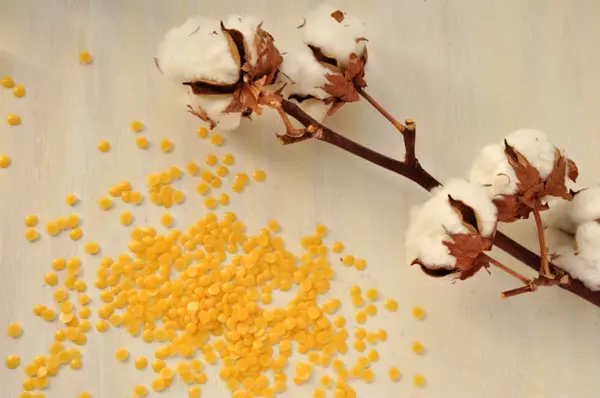 Sáp Candelilla (Candelilla Wax) - Nguyên liệu mỹ phẩm