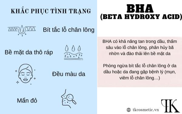 Tìm hiểu về hợp chất BHA