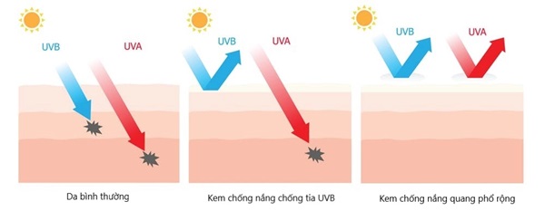 Sử dụng kem chống nắng phổ rộng giúp hạn chế tác hại của ánh nắng mặt trời