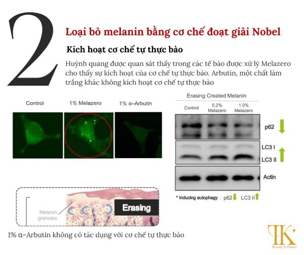 Melazero giúp làm mờ các vết thâm nám