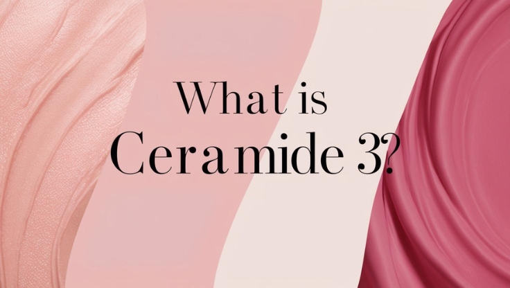 Tìm hiểu về Ceramide 3 là gì và những công dụng quan trọng