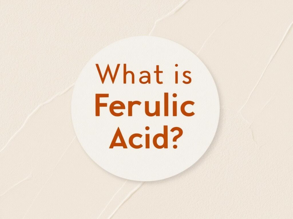 Ferulic Acid có tác dụng gì?