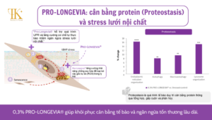 Pro-Longevia: Cân bằng potein (proteostasis) và stress lưới nội chất