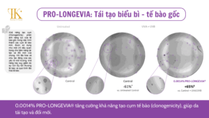 Pro-Longevia: Tái tạo biểu bì-tế bào gốc