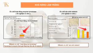 EMlastic: Có khả năng làm trắng