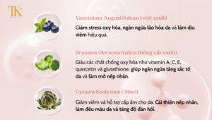 Sức mạnh của WRINKLEZERO đến từ sự kết hợp hoàn hảo của các chiết xuất thực vật