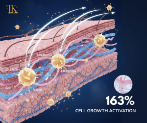 Hiệu quả của Ceramide lúa gạo không dừng lại ở lớp sừng. Nó còn tác động sâu đến lớp hạ bì, nơi diễn ra quá trình sản xuất collagen và elastin.