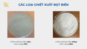 Các loại chết xuất bọt biển