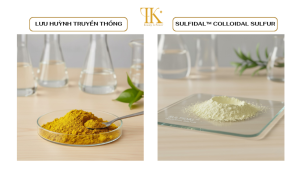 (So sánh lưu huỳnh dạng truyền thông và Sulfidal™ Colloidal Sulfur)