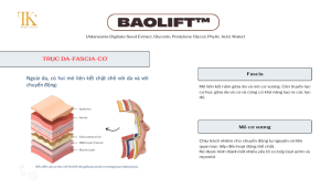 Baolift™ tác động lên Trục-Cân-Cơ