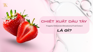 (Chiết xuất dâu tây là gì?)
