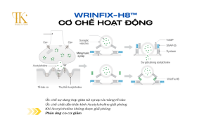 Cơ chế hoạt động của WrinFix-H8™