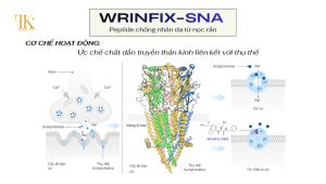 Cơ chế hoạt động của WrinFix-SNA