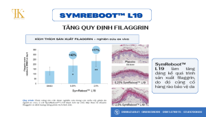 SymReboot L19: Kích thích sản sinh Filaggrin
