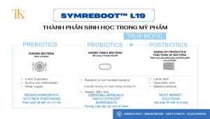 SymReboot L19 là gì?