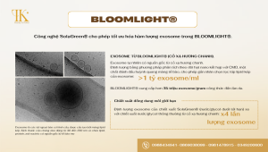 Nguyên liệu Bloomlight