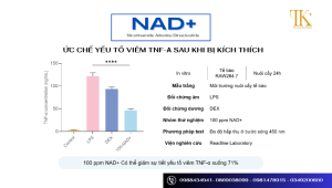 NAD+: Giảm 71% yếu tố do viêm
