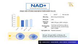 NAD+: Phục hồi 14% tế bào tổn thương do UVB
