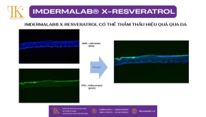 IMDERMALAB X-RESVERATROL: Khả năng thẩm thấu